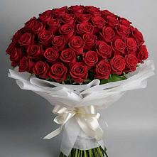 Букет 101 Красная роза Блэк Мэджик в Морозовке
