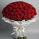 Букет 101 Красная роза Блэк Мэджик в Морозовке