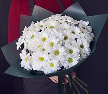 Букет цветов из:  Хризантемы #REPLACE_PRED# Морозовке