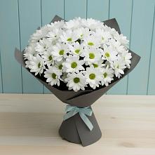 Букет цветов из:  Хризантемы #REPLACE_PRED# Морозовке