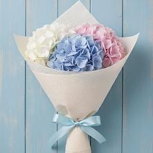 Букет цветов из:  Гортензия в Морозовке