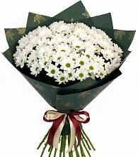 Букет цветов из:  Хризантемы в Морозовке