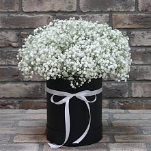 Цветочная композиция из Гипсофила в шляпной коробке в Морозовке