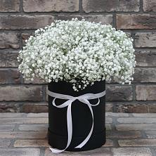 Цветочная композиция из Гипсофила в шляпной коробке в Морозовке