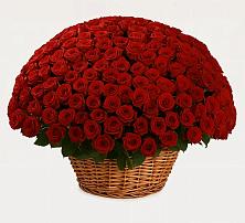 Премиум букет из: Розы в Морозовке