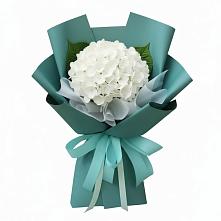 Букет цветов из:  Гортензия #REPLACE_PRED# Морозовке